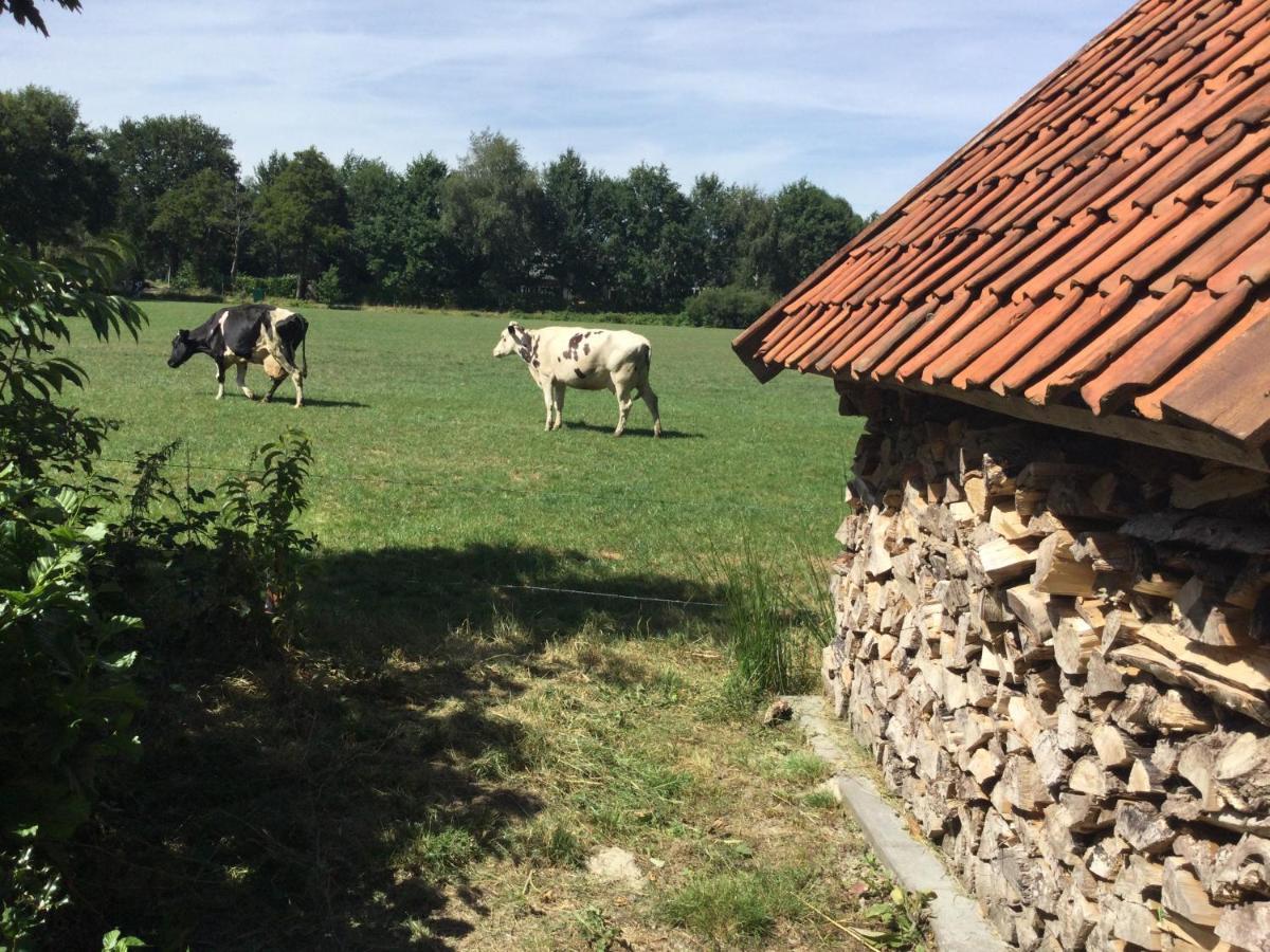 Landelijk Gelegen Huisje Op Erf Veeningen Exterior foto