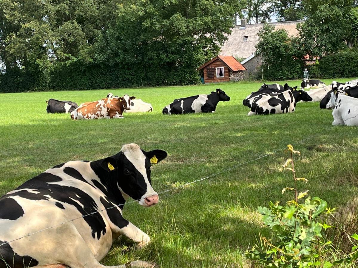 Landelijk Gelegen Huisje Op Erf Veeningen Exterior foto