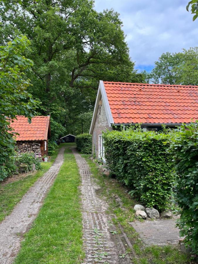 Landelijk Gelegen Huisje Op Erf Veeningen Exterior foto