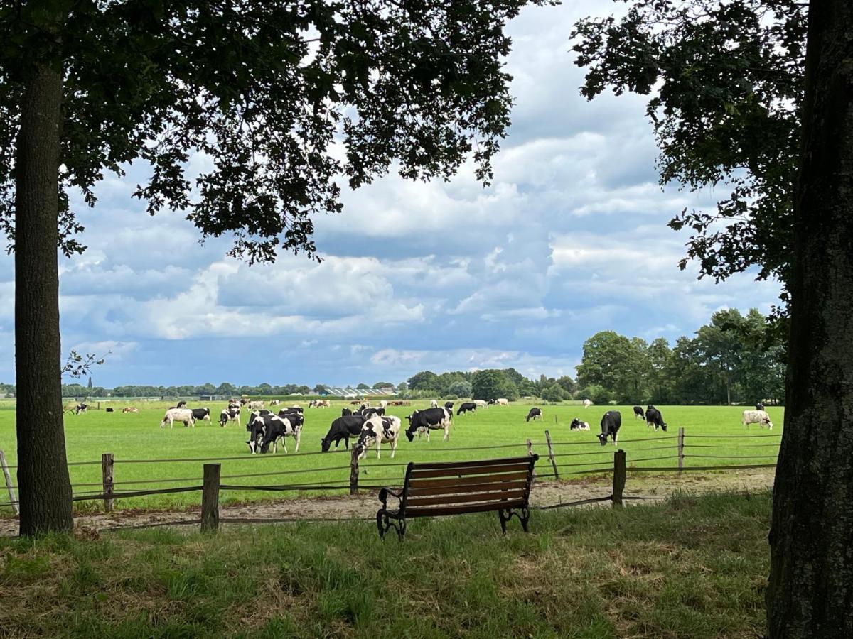 Landelijk Gelegen Huisje Op Erf Veeningen Exterior foto